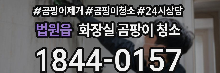 법원읍 화장실 곰팡이 청소