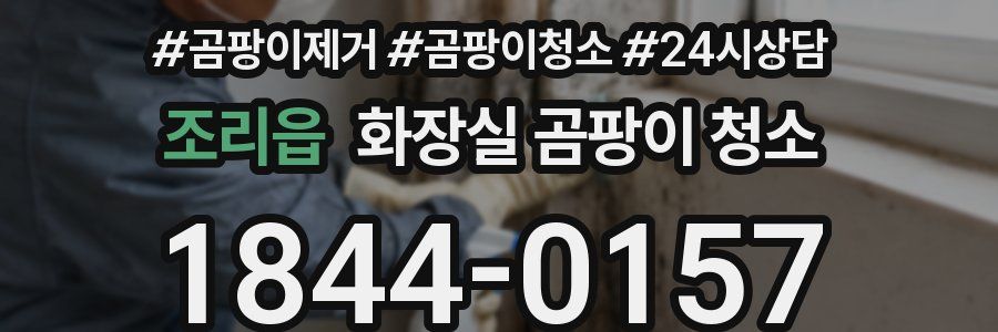 조리읍 화장실 곰팡이 청소