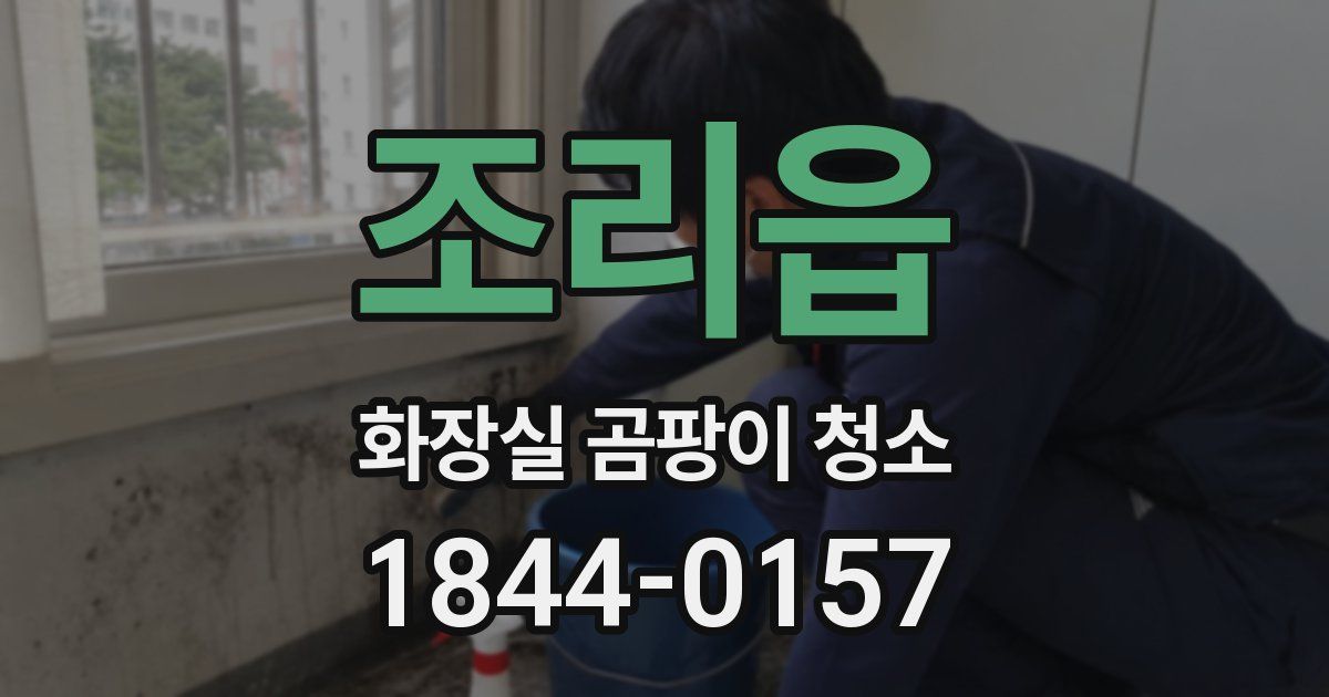 조리읍 화장실 곰팡이 청소
