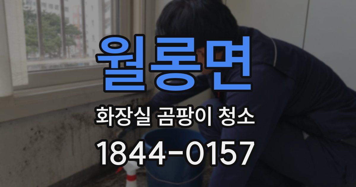 월롱면 화장실 곰팡이 청소