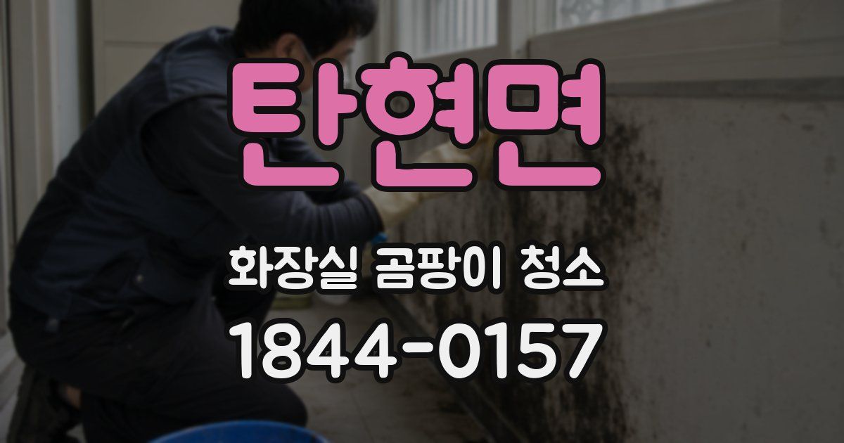 탄현면 화장실 곰팡이 청소
