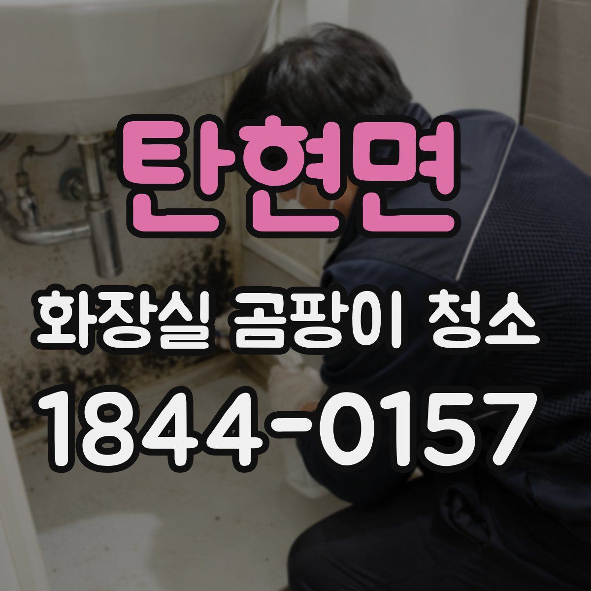 탄현면 화장실 곰팡이 청소