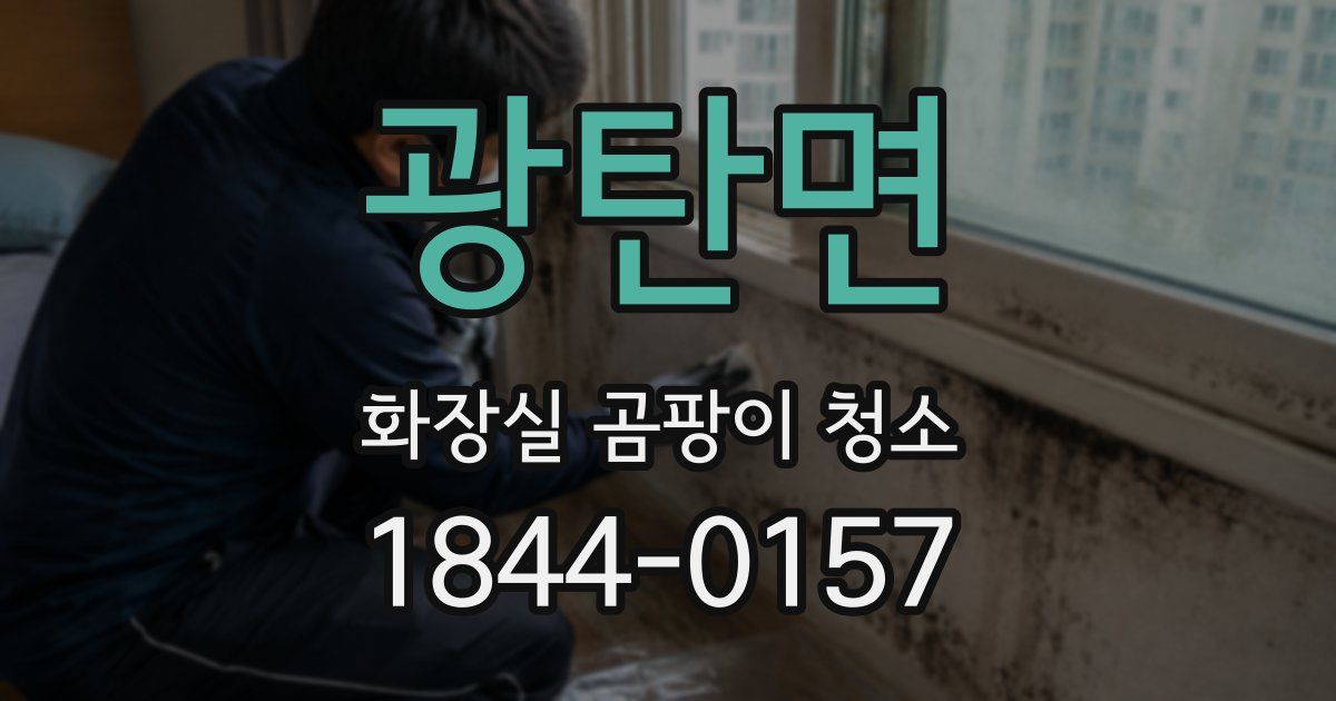 광탄면 화장실 곰팡이 청소