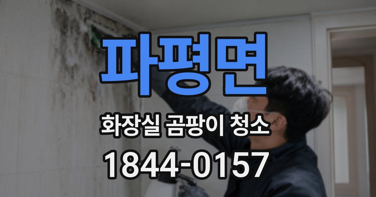 파평면 화장실 곰팡이 청소