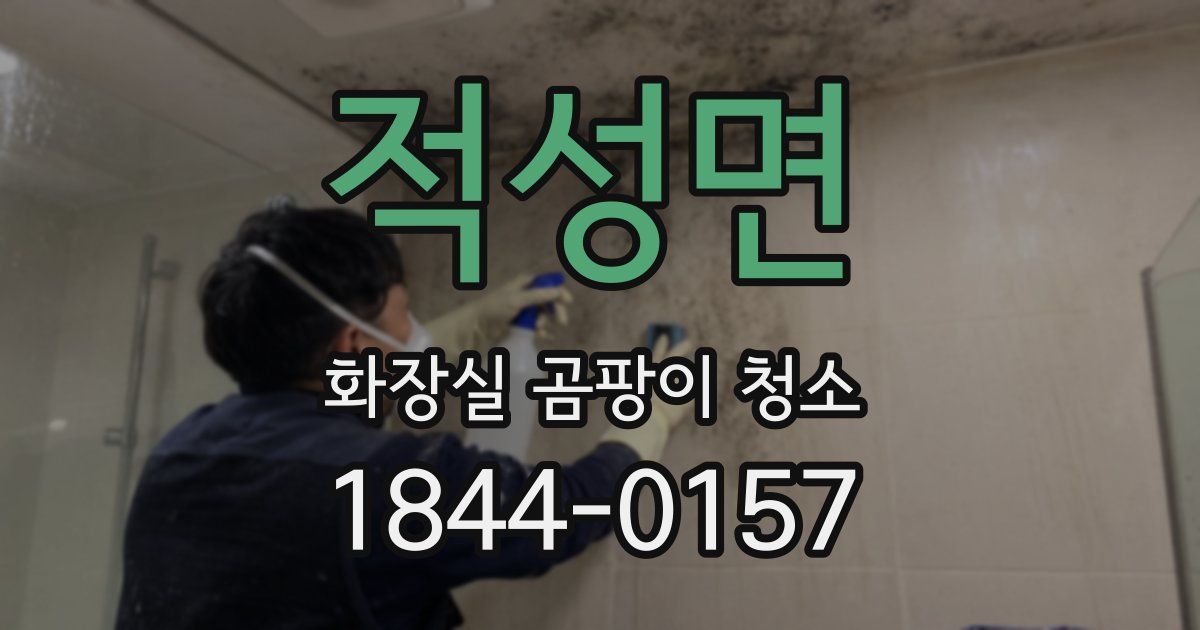 적성면 화장실 곰팡이 청소