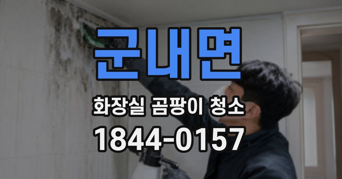 군내면 화장실 곰팡이 청소