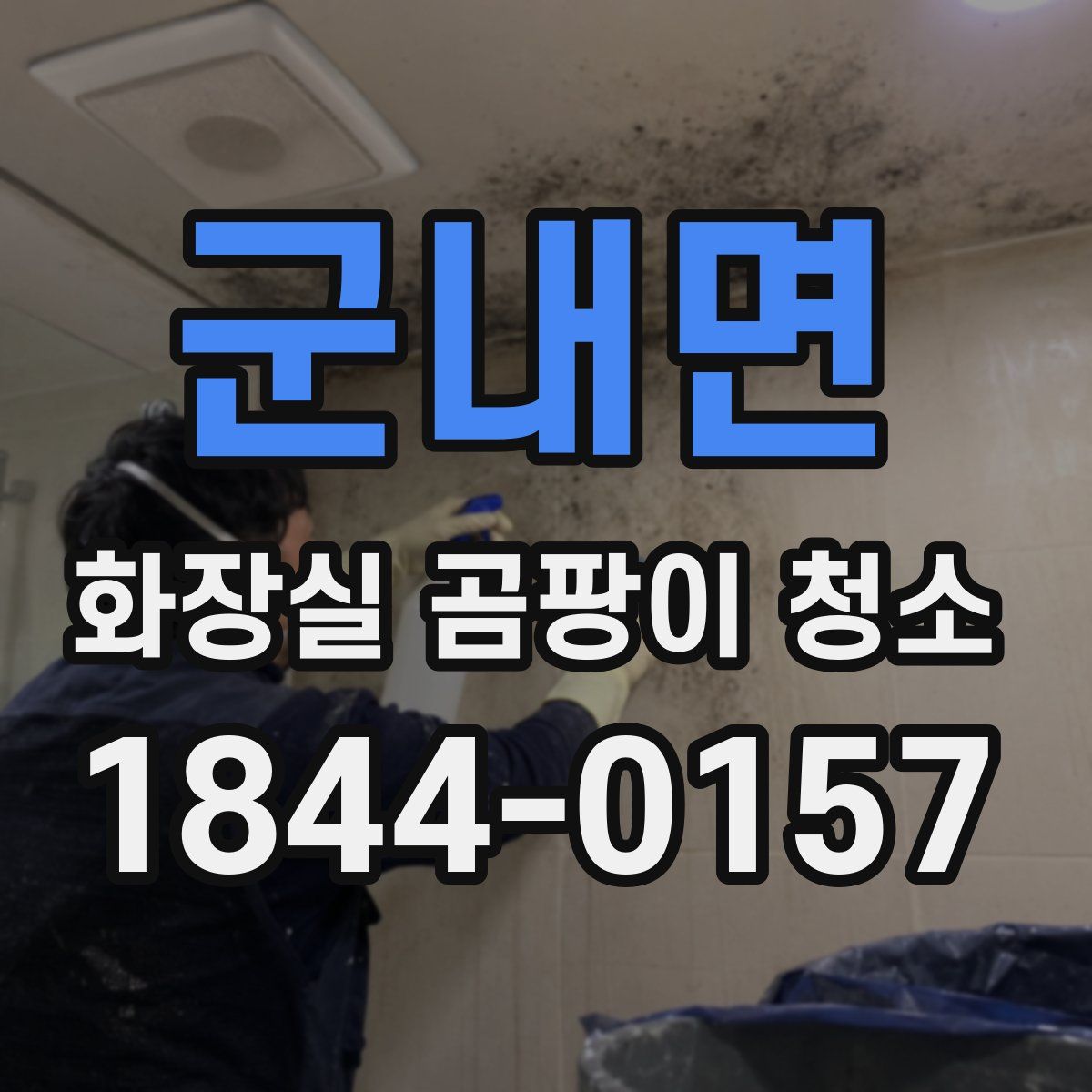 군내면 화장실 곰팡이 청소