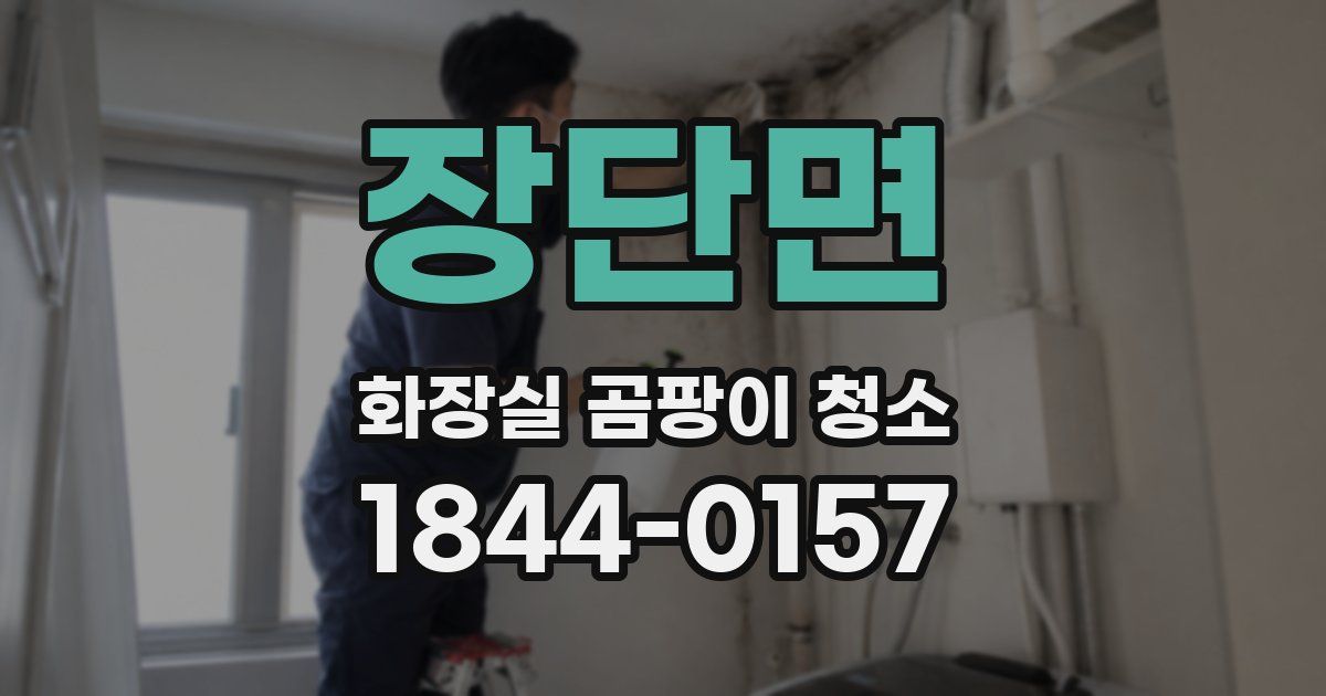 장단면 화장실 곰팡이 청소
