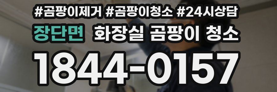 장단면 화장실 곰팡이 청소