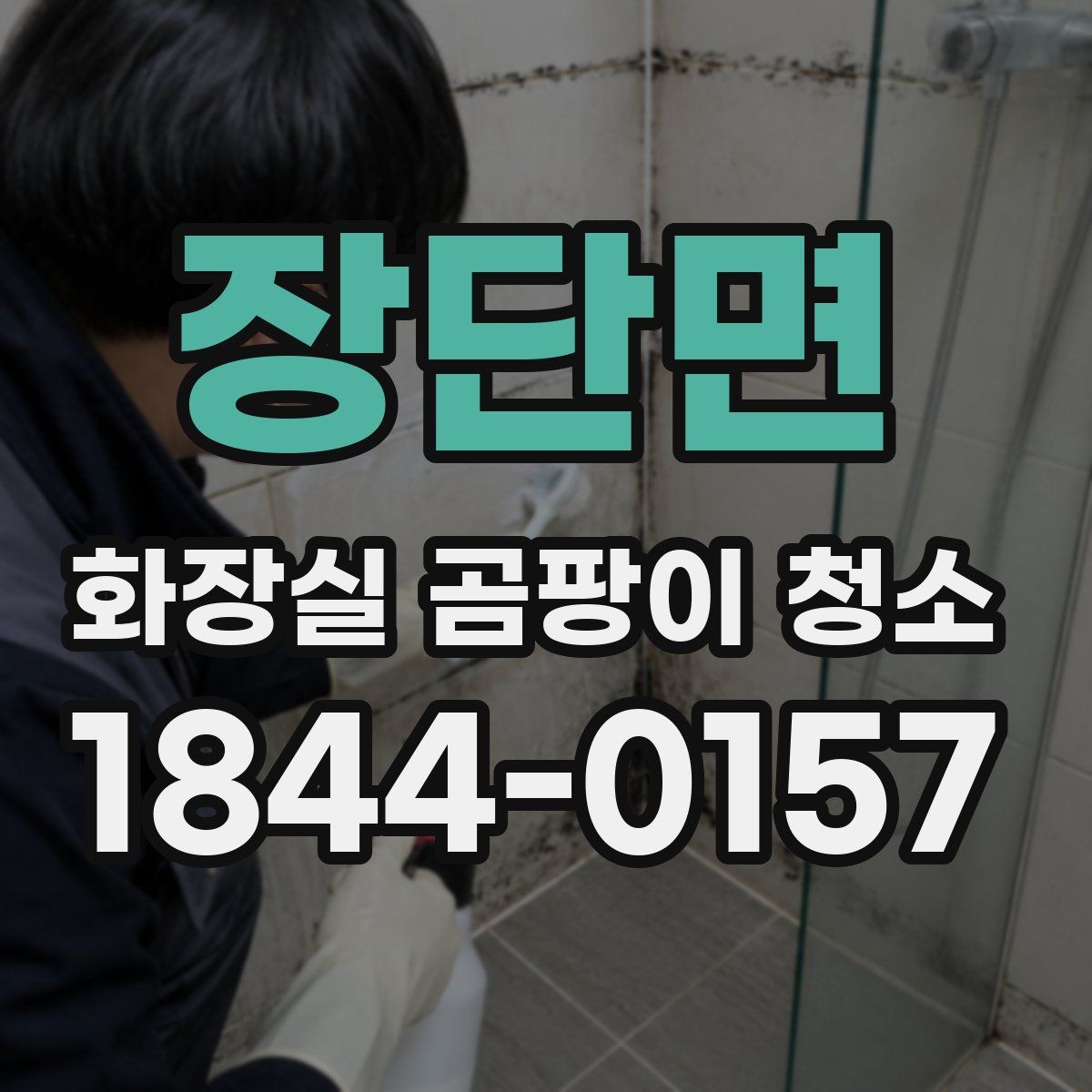 장단면 화장실 곰팡이 청소
