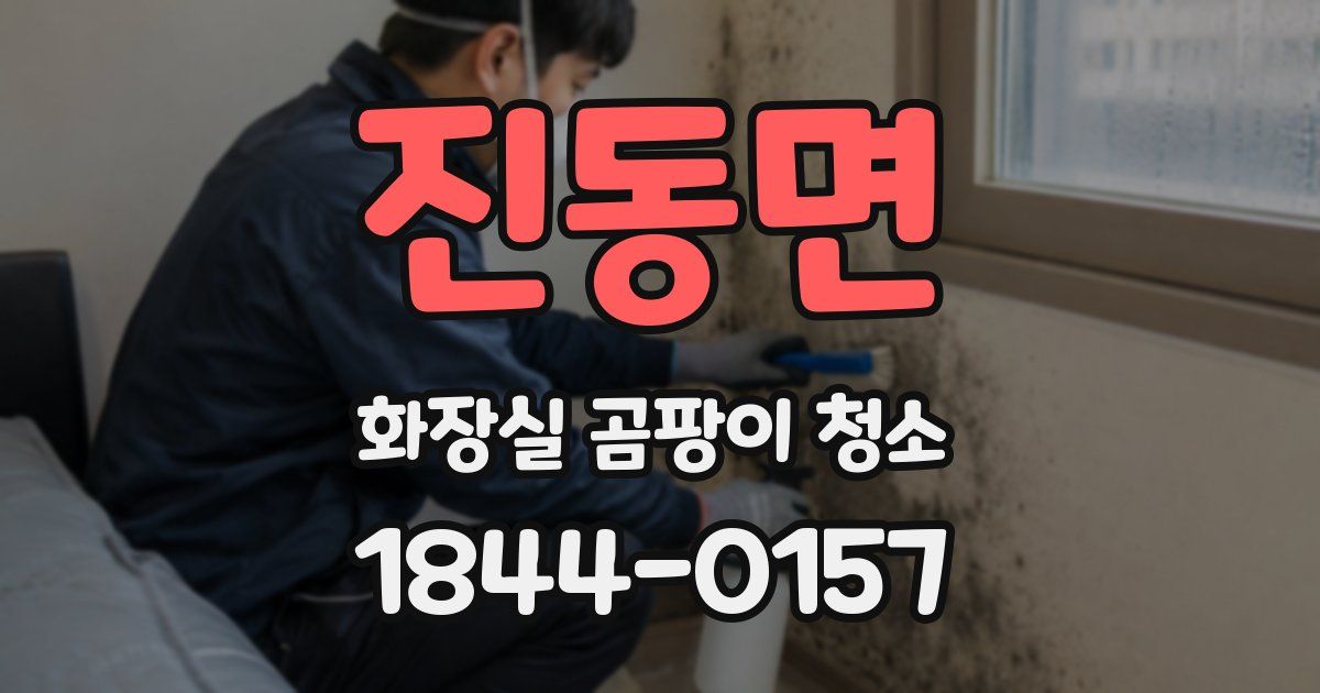 진동면 화장실 곰팡이 청소