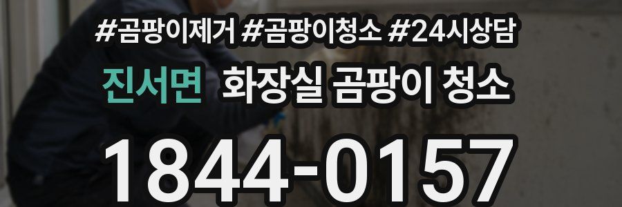 진서면 화장실 곰팡이 청소
