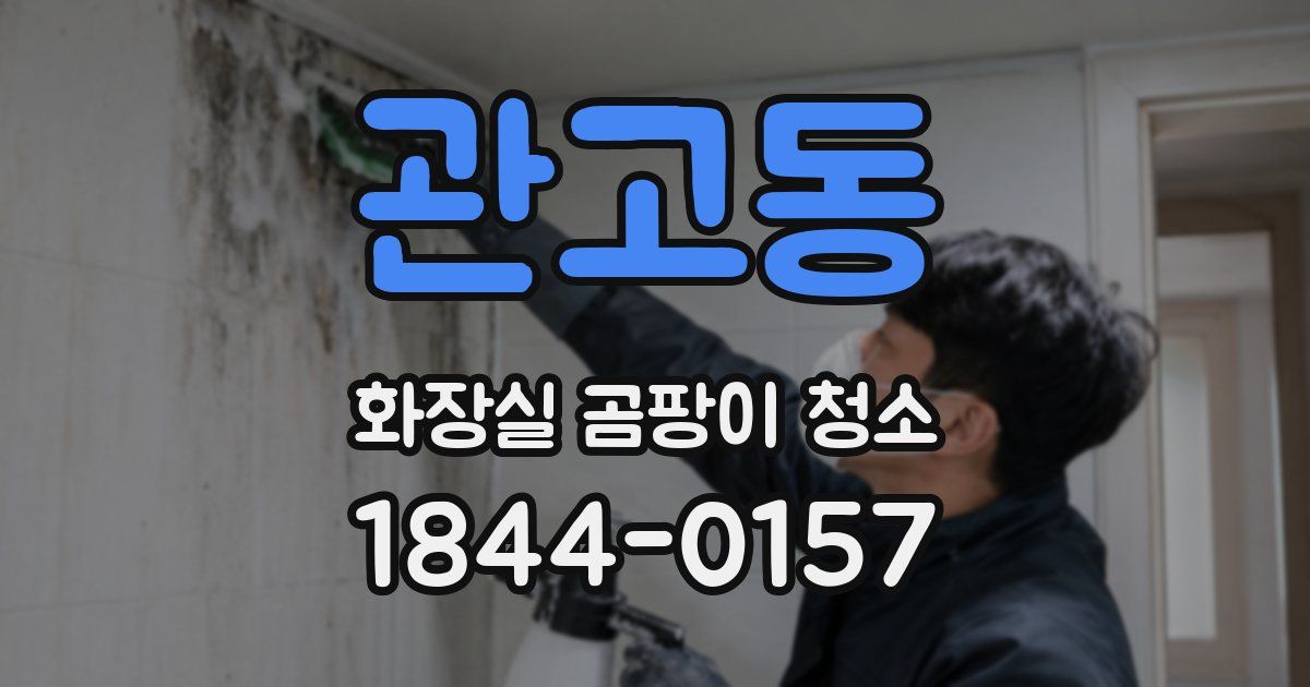 관고동 화장실 곰팡이 청소