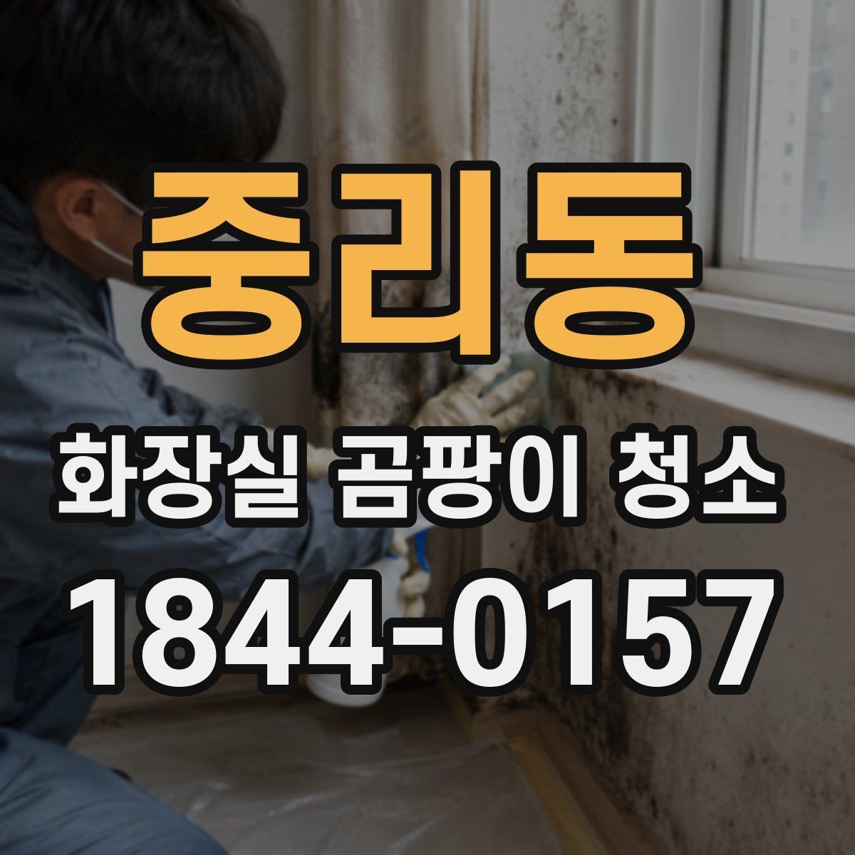 중리동 화장실 곰팡이 청소 얼룩 재발을 줄이는 점검 항목