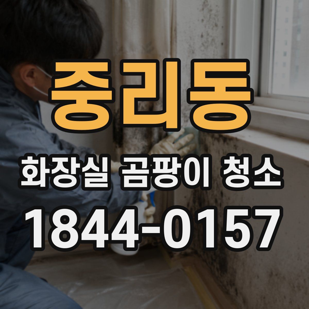 중리동 화장실 곰팡이 청소