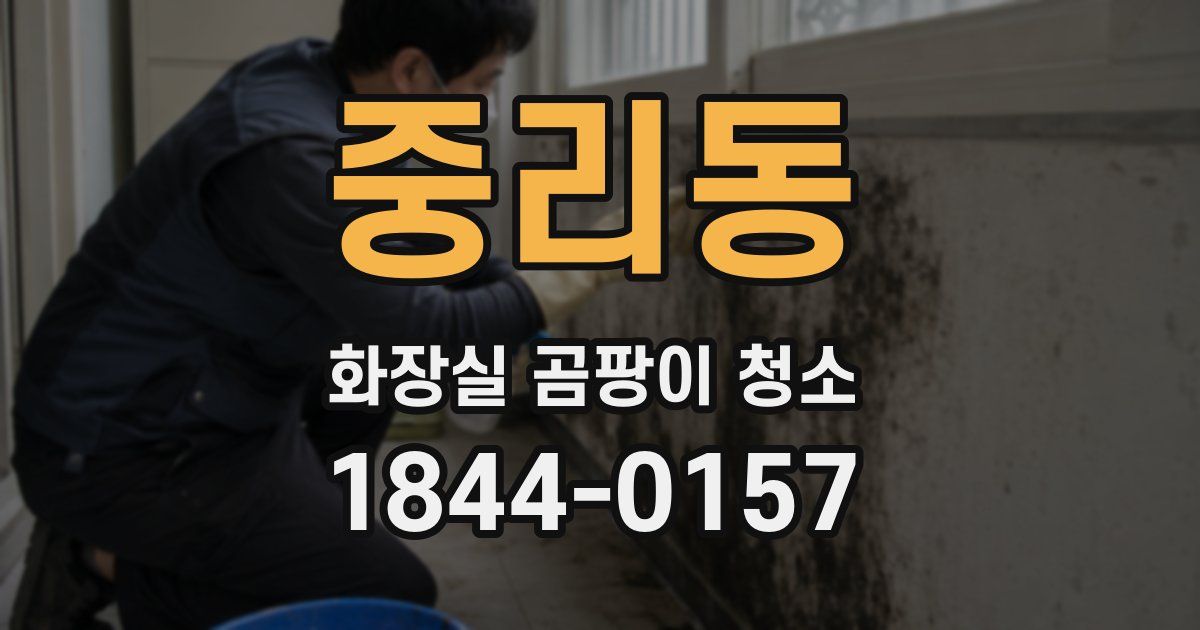 중리동 화장실 곰팡이 청소