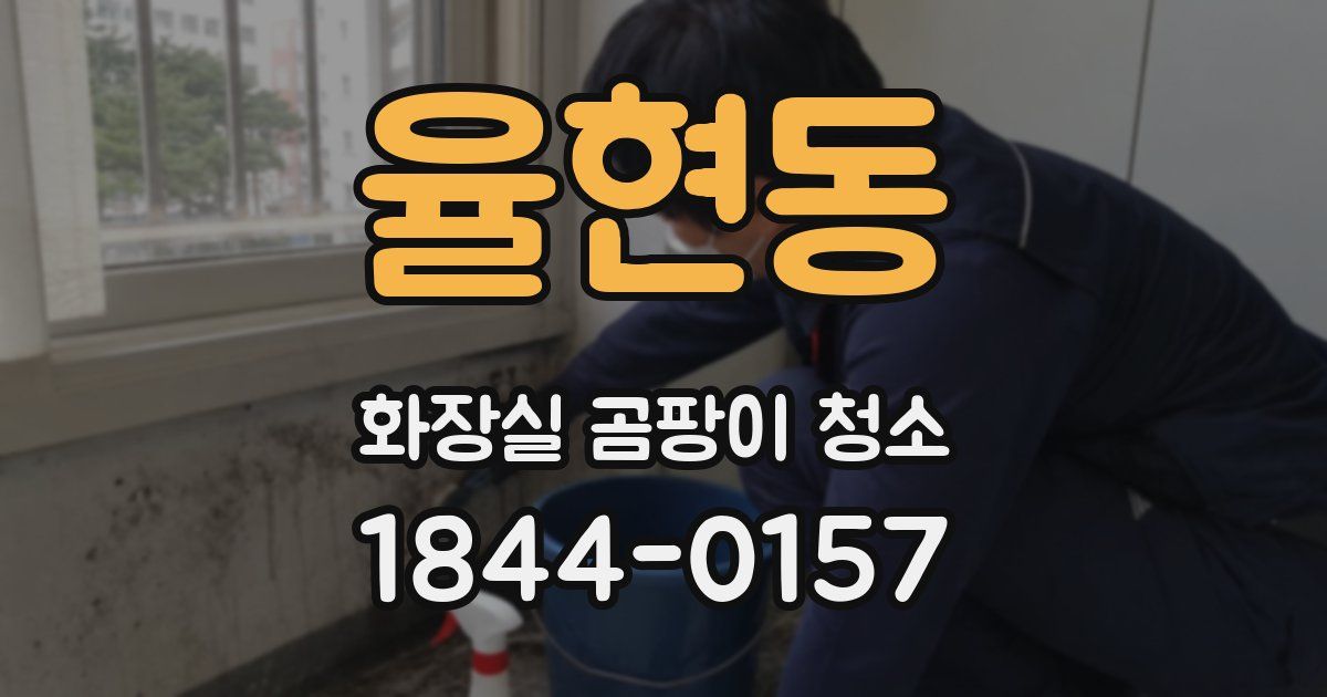 율현동 화장실 곰팡이 청소
