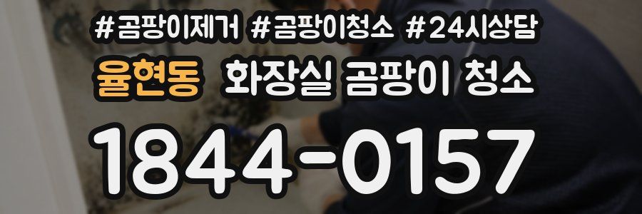율현동 화장실 곰팡이 청소