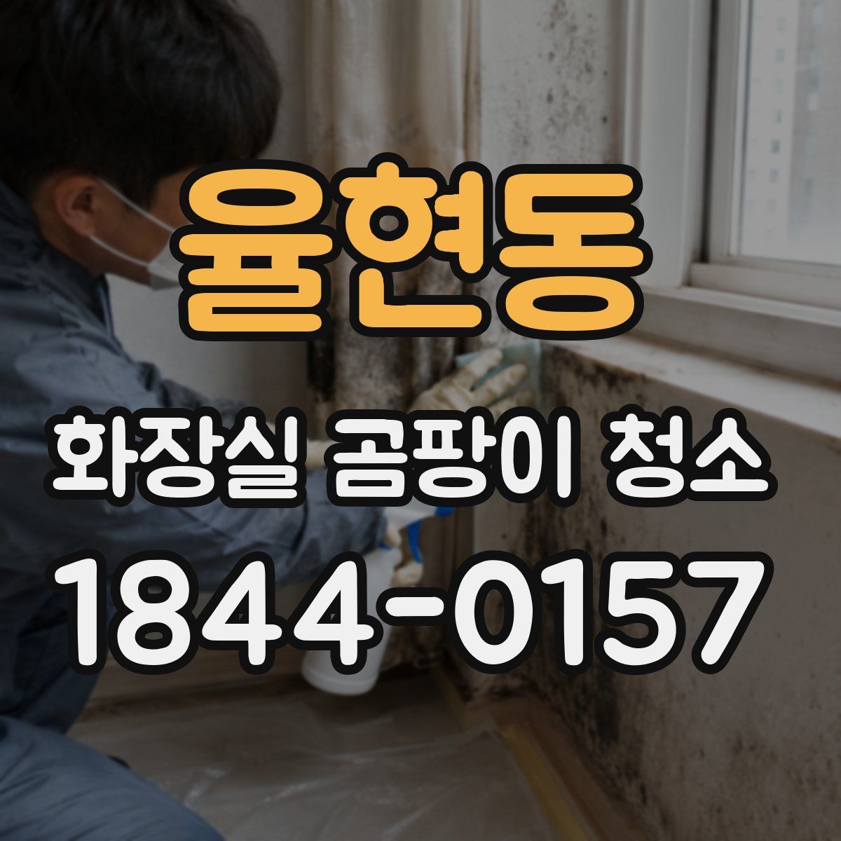 율현동 화장실 곰팡이 청소