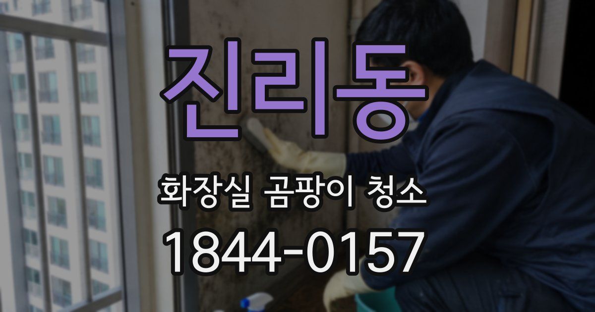 진리동 화장실 곰팡이 청소