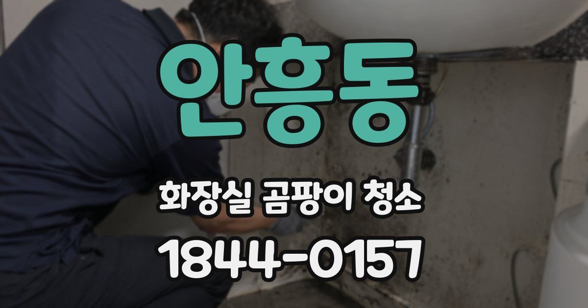 안흥동 화장실 곰팡이 청소