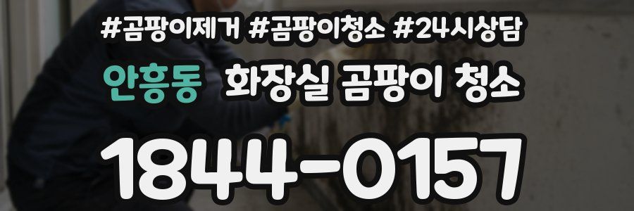 안흥동 화장실 곰팡이 청소