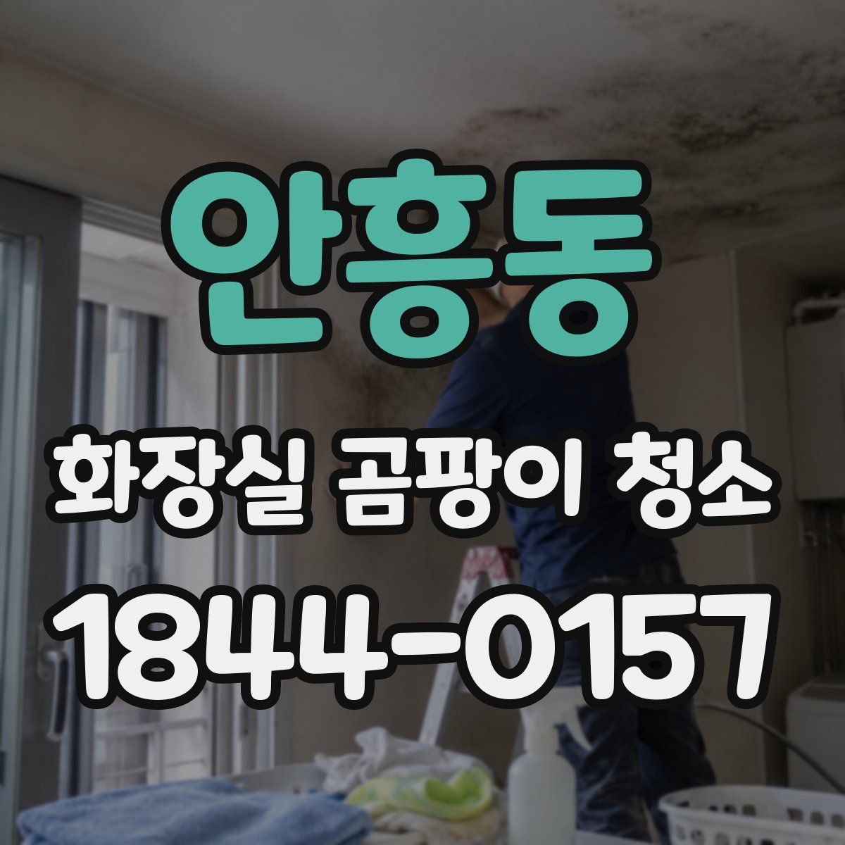 안흥동 화장실 곰팡이 청소