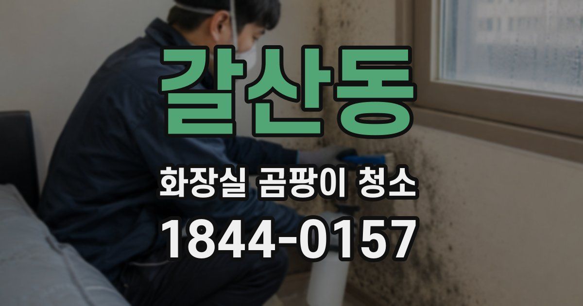 갈산동 화장실 곰팡이 청소