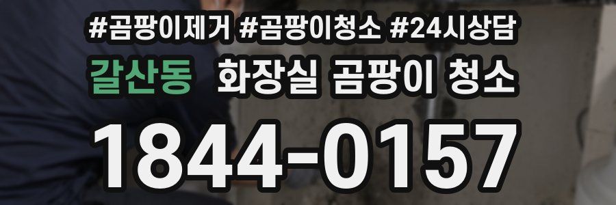 갈산동 화장실 곰팡이 청소
