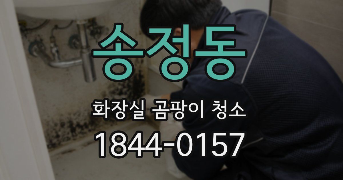 송정동 화장실 곰팡이 청소