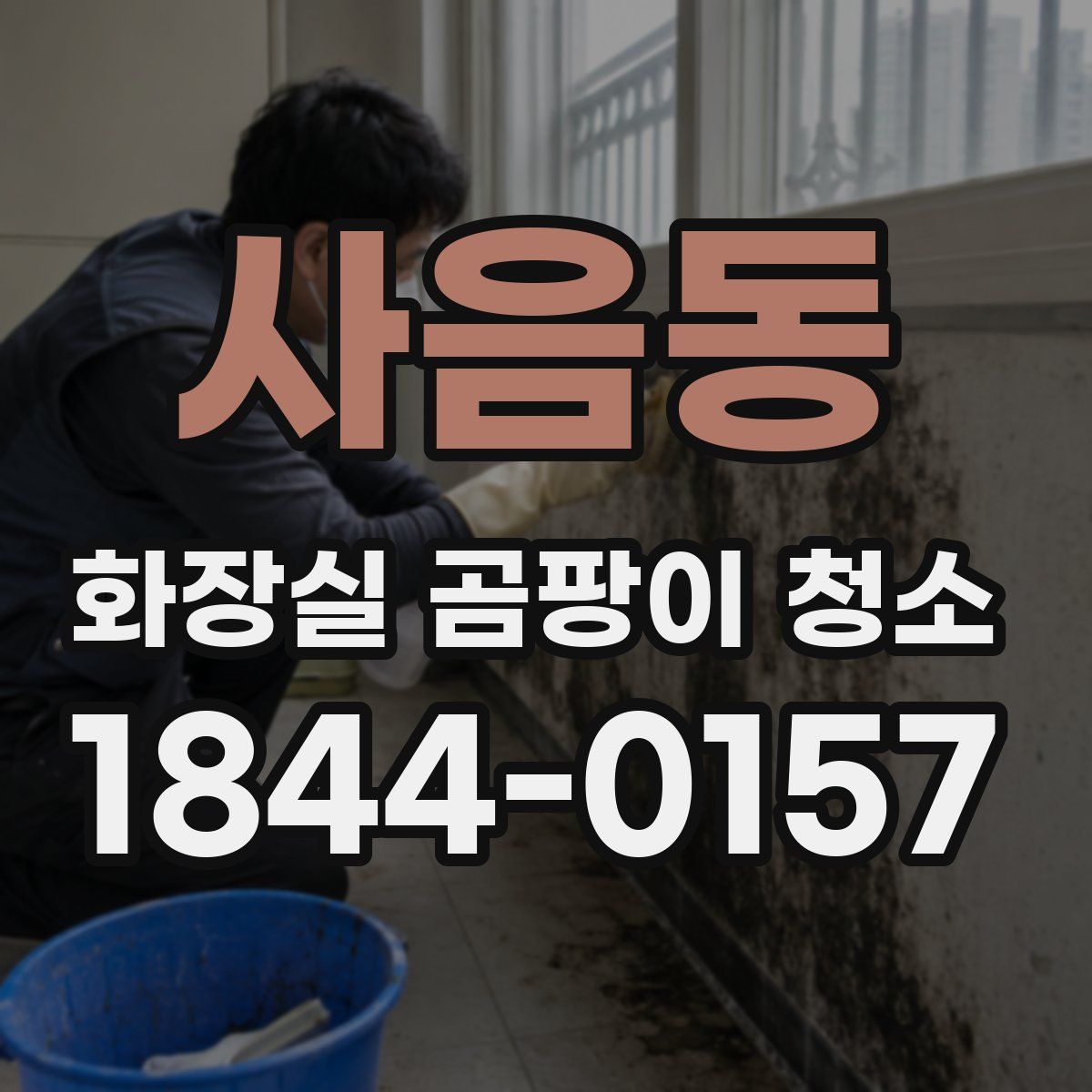 사음동 화장실 곰팡이 청소