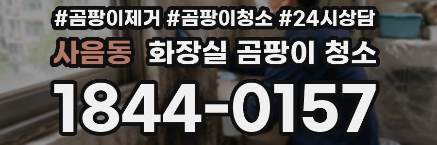 사음동 화장실 곰팡이 청소
