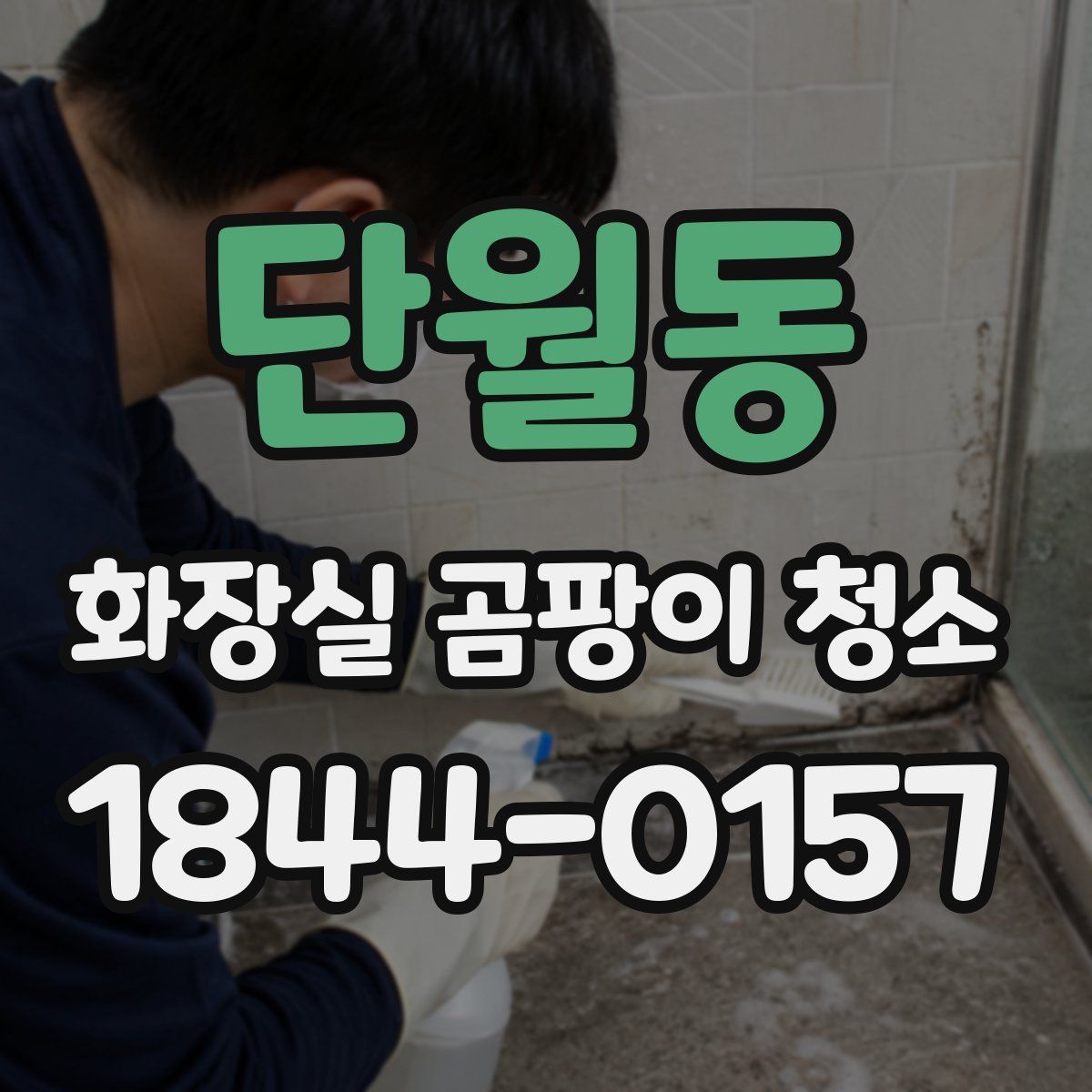 단월동 화장실 곰팡이 청소
