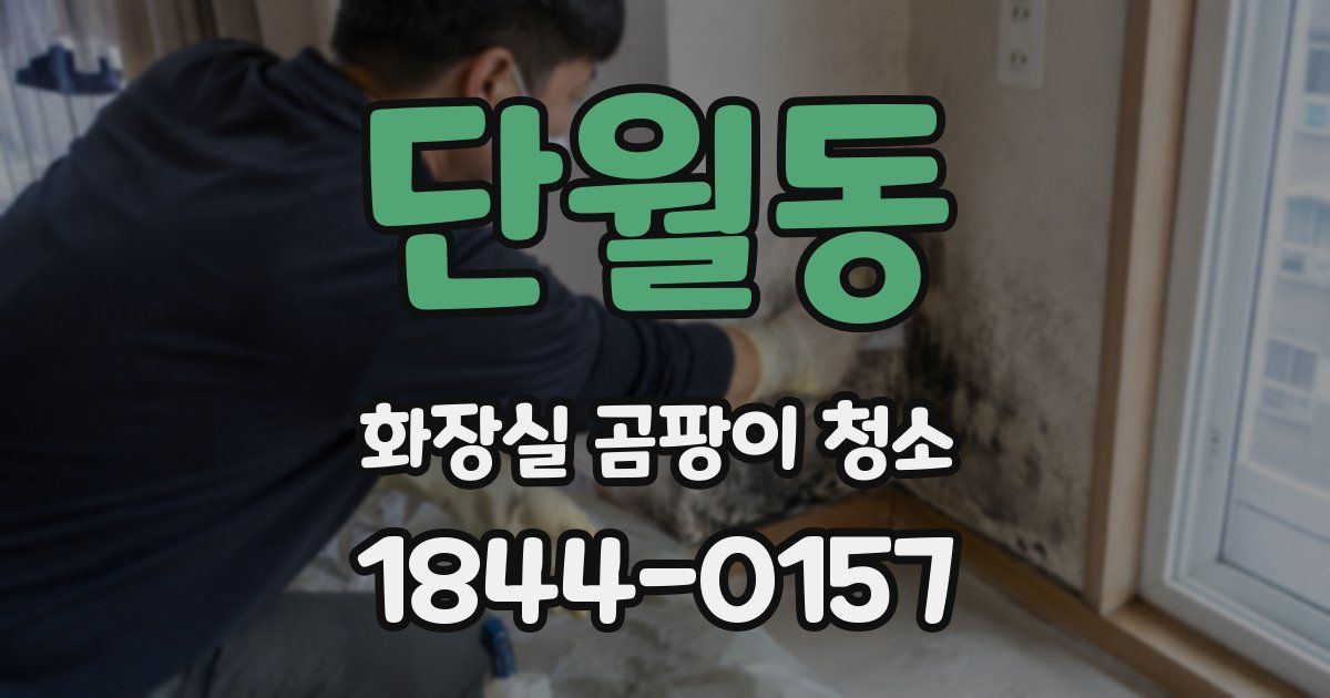 단월동 화장실 곰팡이 청소
