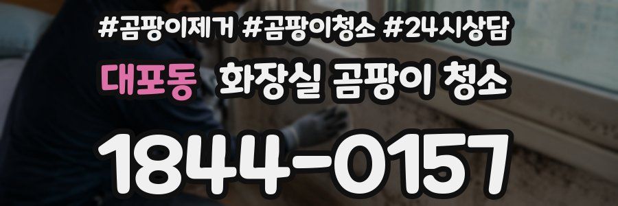 대포동 화장실 곰팡이 청소