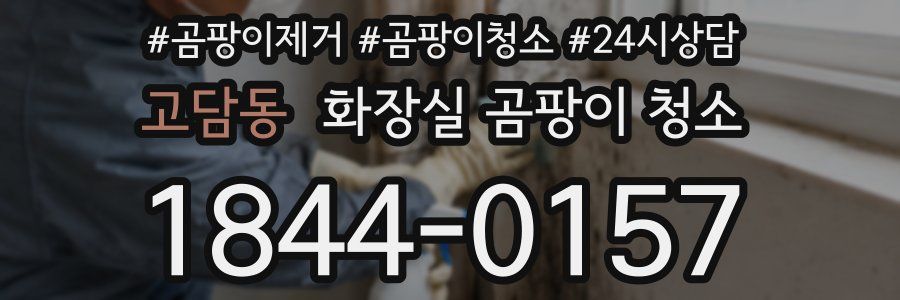 고담동 화장실 곰팡이 청소
