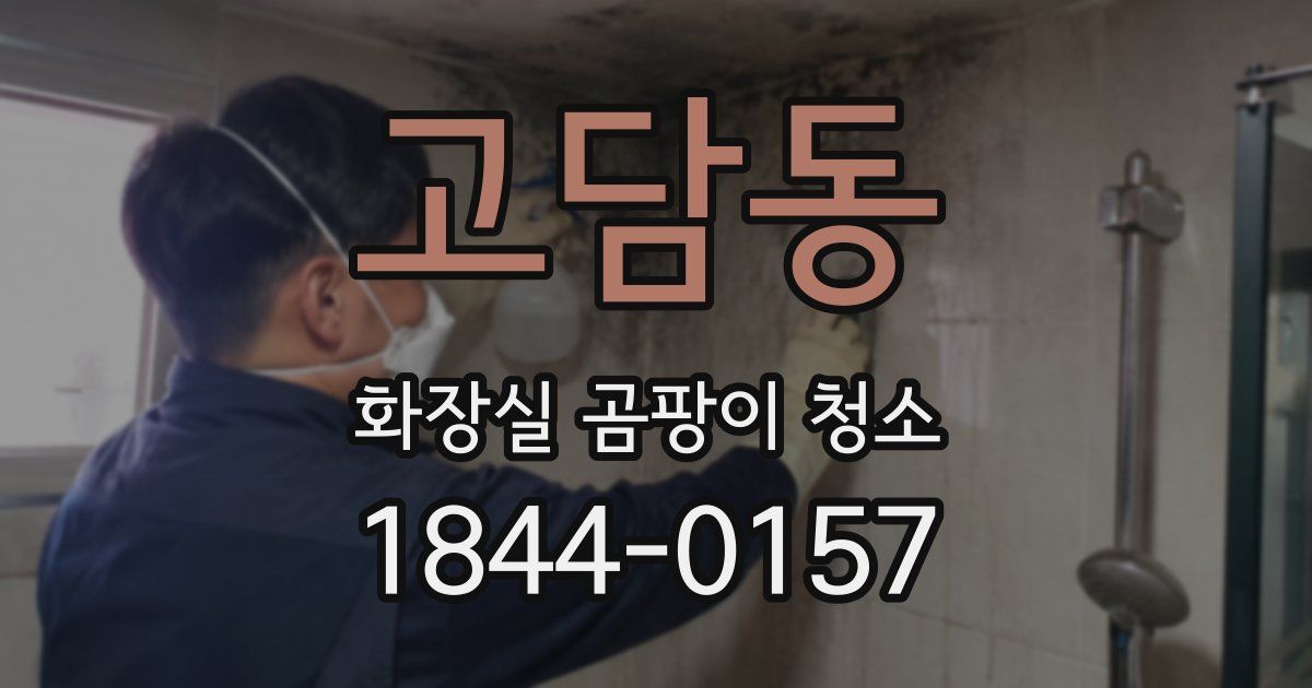 고담동 화장실 곰팡이 청소