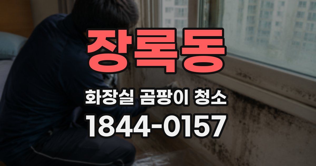 장록동 화장실 곰팡이 청소