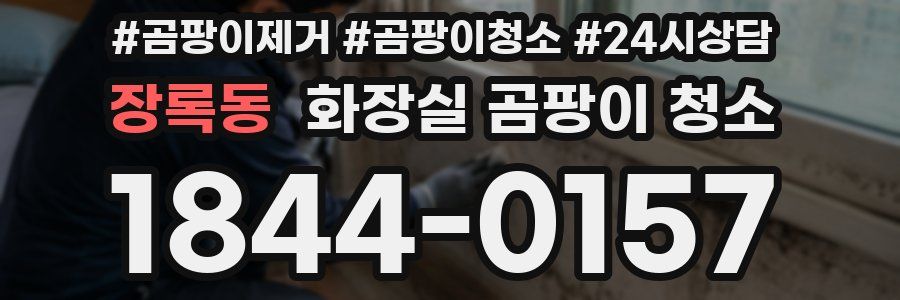 장록동 화장실 곰팡이 청소