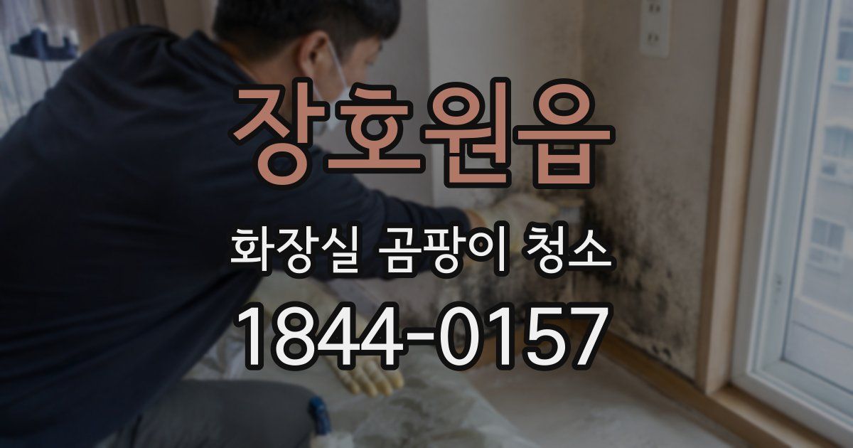 장호원읍 화장실 곰팡이 청소