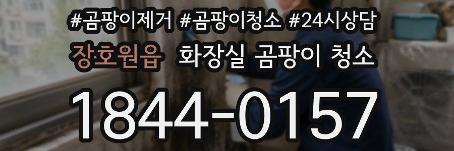 장호원읍 화장실 곰팡이 청소