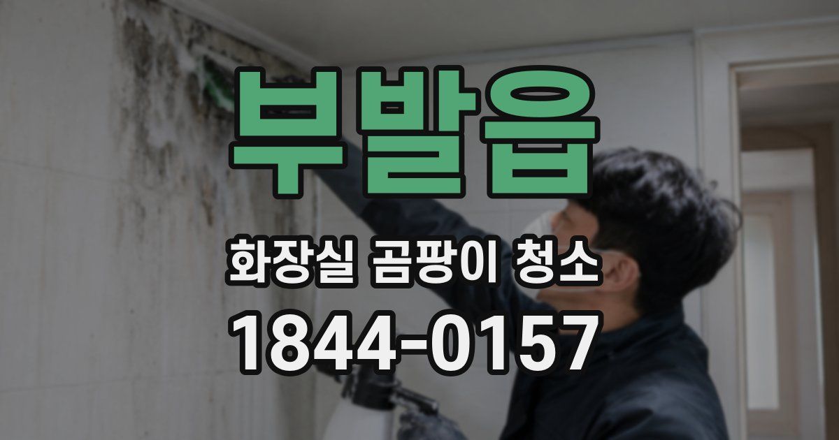 부발읍 화장실 곰팡이 청소