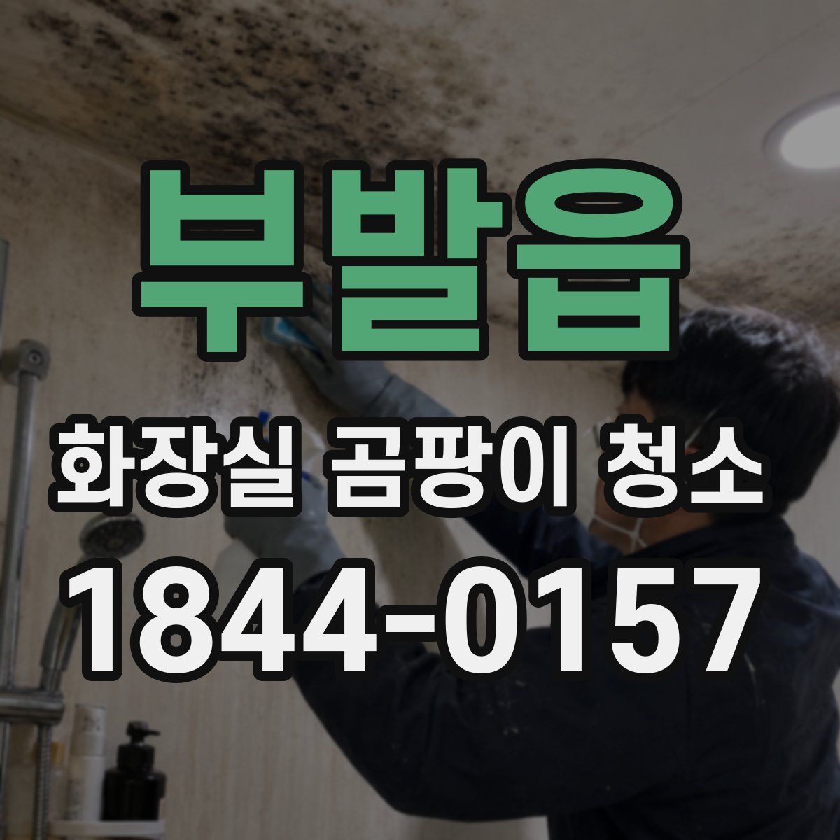 부발읍 화장실 곰팡이 청소
