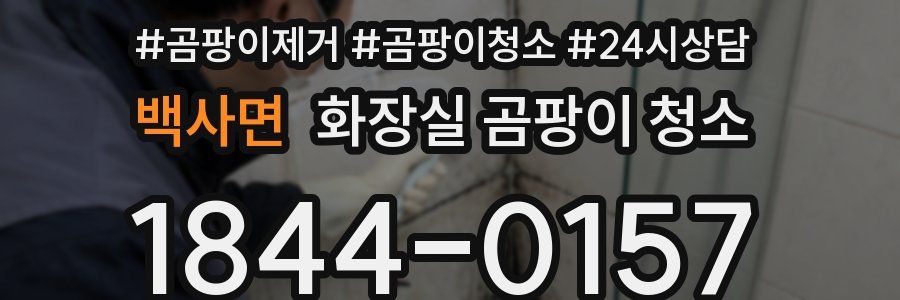 백사면 화장실 곰팡이 청소