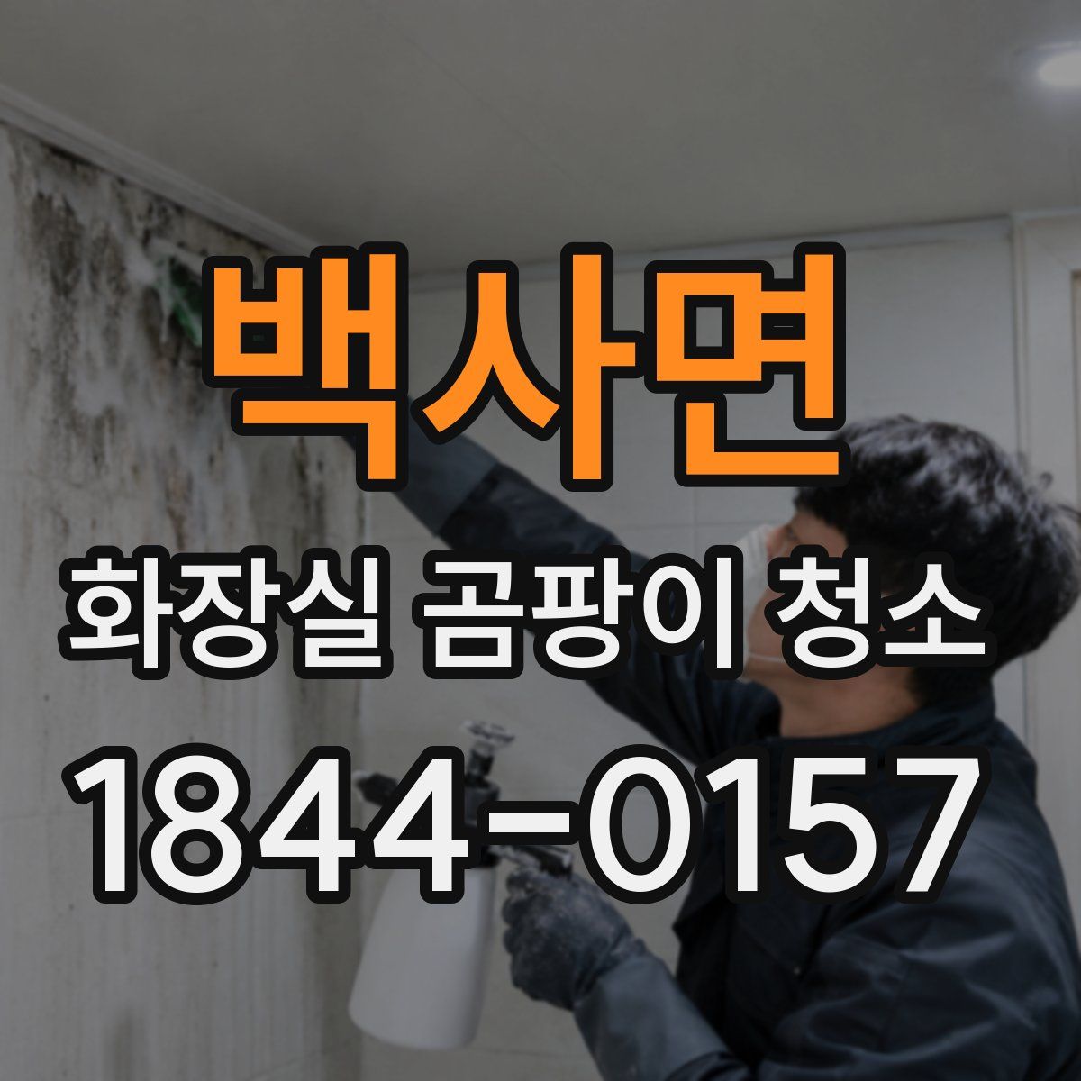 백사면 화장실 곰팡이 청소