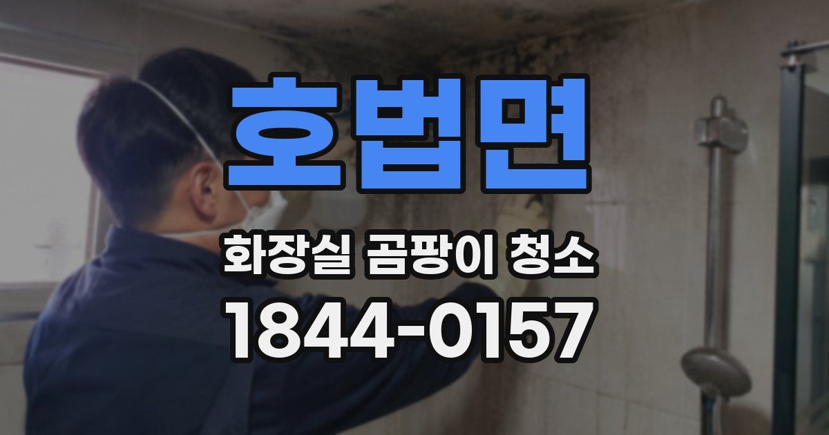 호법면 화장실 곰팡이 청소
