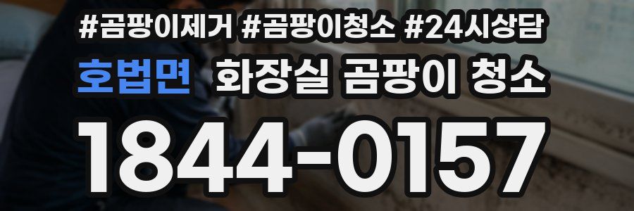 호법면 화장실 곰팡이 청소