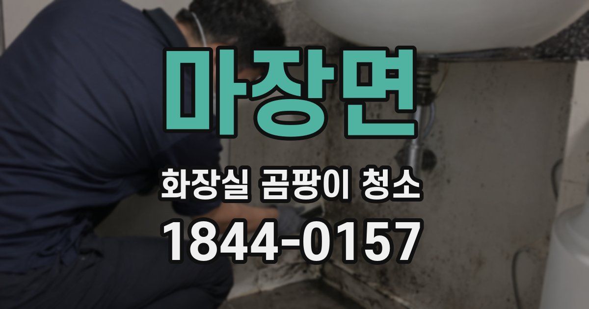 마장면 화장실 곰팡이 청소