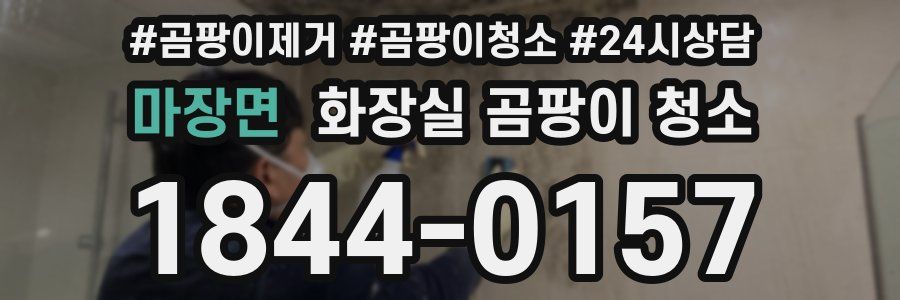 마장면 화장실 곰팡이 청소