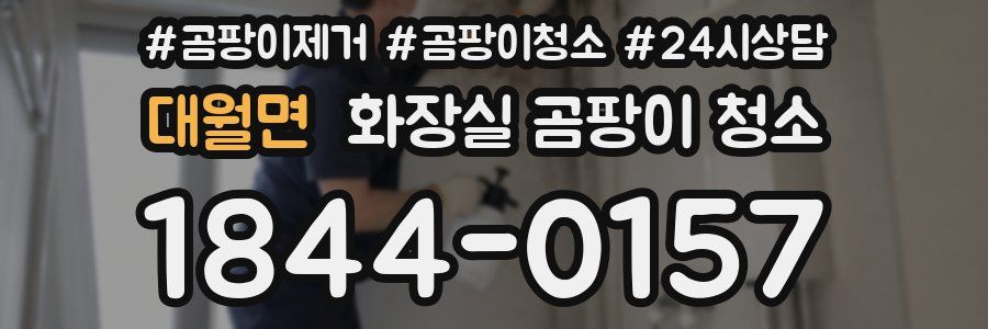 대월면 화장실 곰팡이 청소